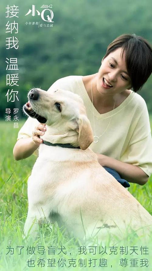 办假的暂定资质/证书